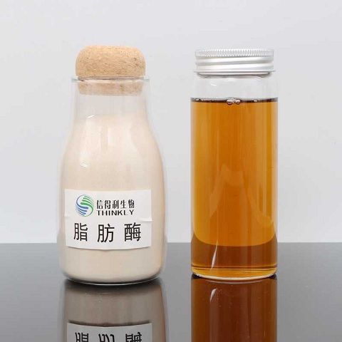 脂肪酶，你用對(duì)了嗎？